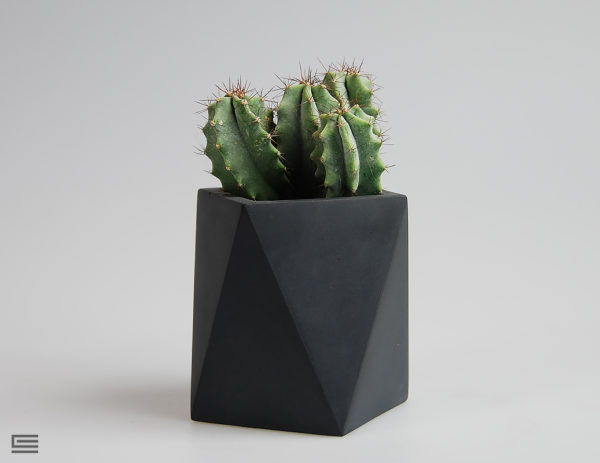 concrete pots