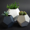 concrete flowerpots