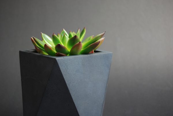concrete pots