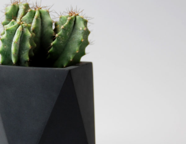 concrete pots
